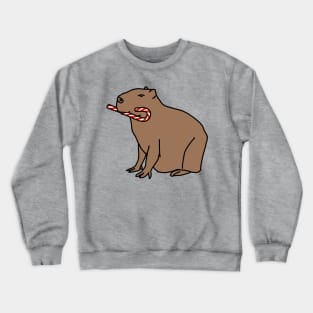 Cute Christmas Capybara with Candy Cane Crewneck Sweatshirt